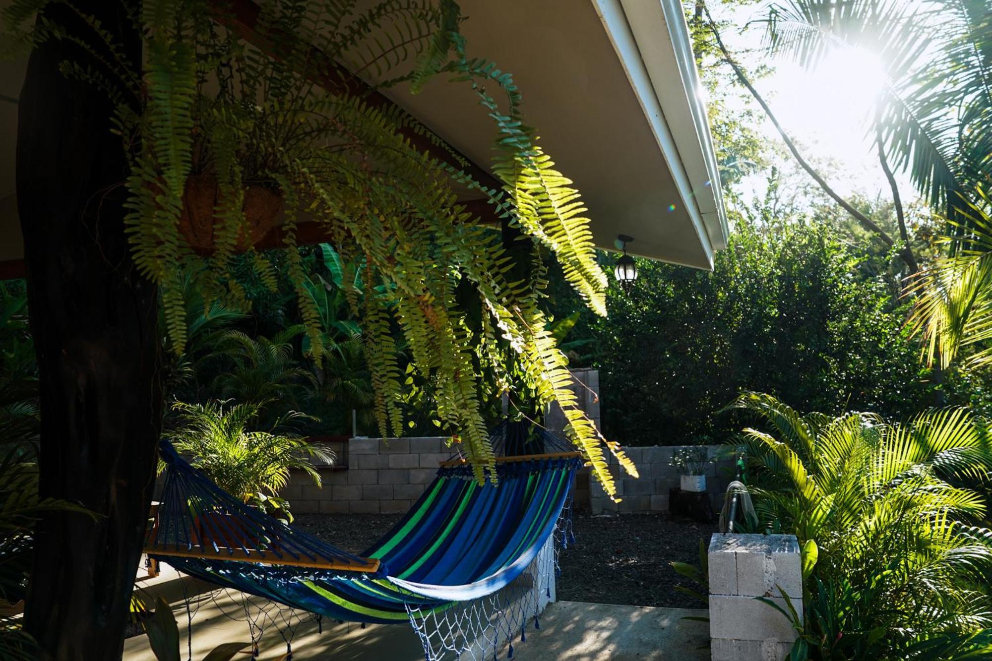 House In The Palm Forest Puerto Carrillo Exterior photo