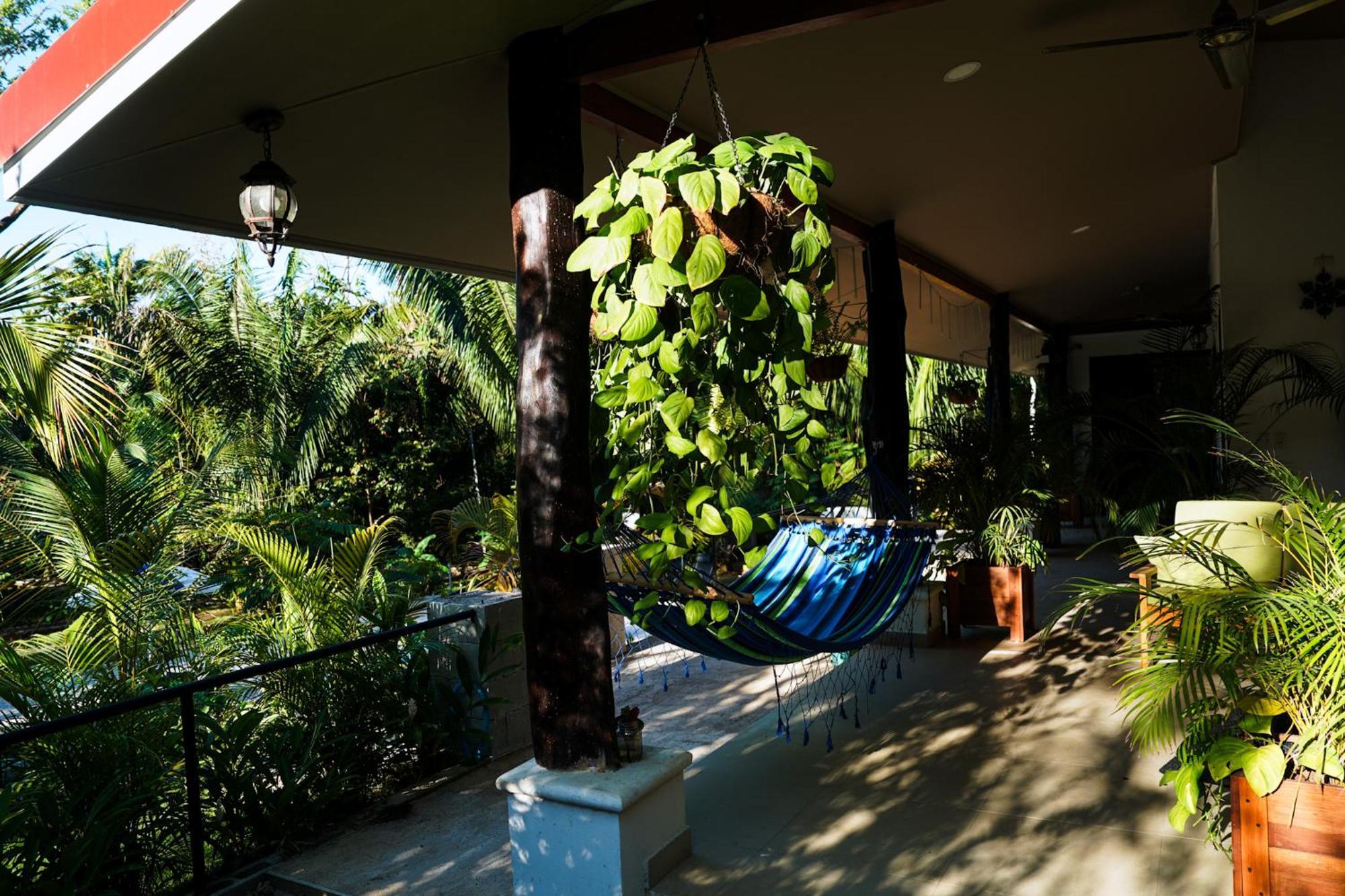 House In The Palm Forest Apartment Puerto Carrillo Exterior photo