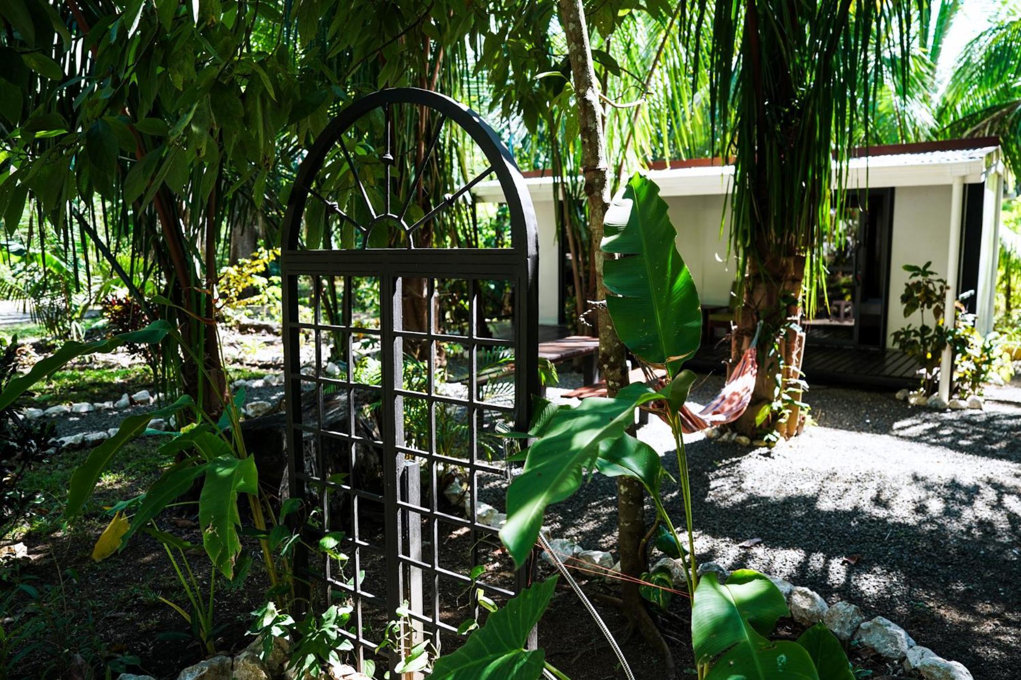 House In The Palm Forest Apartment Puerto Carrillo Exterior photo