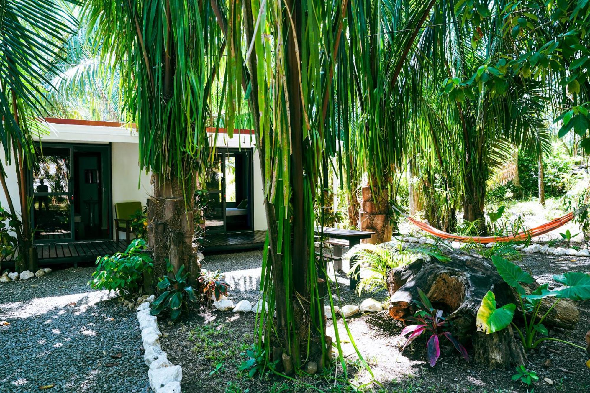 House In The Palm Forest Puerto Carrillo Exterior photo