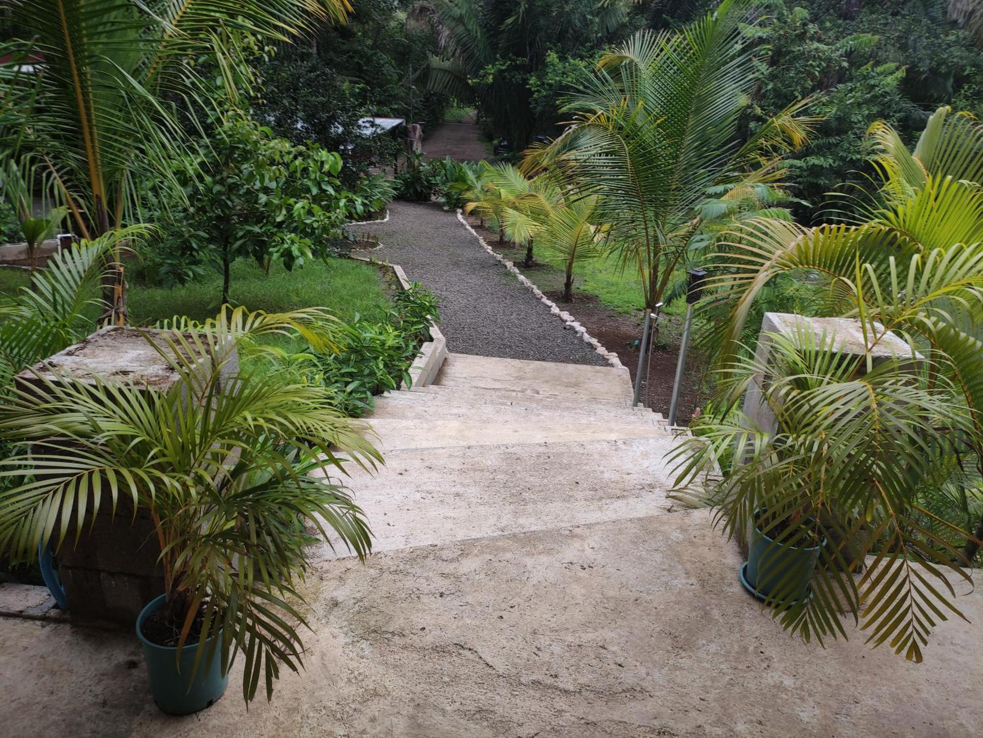 House In The Palm Forest Apartment Puerto Carrillo Exterior photo